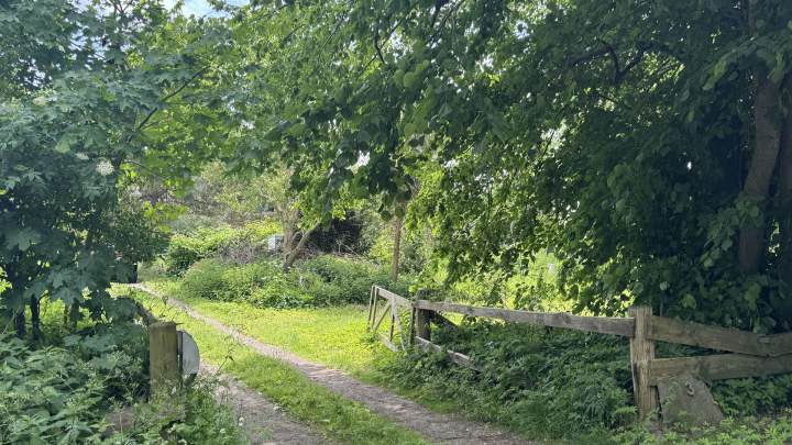 Traumhaftes Reethaus mit zwei Wohnungen in idyllischer Alleinlage