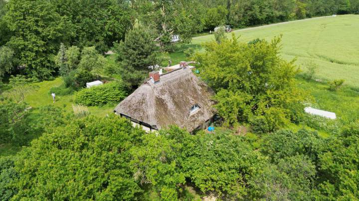 Traumhaftes Reethaus mit zwei Wohnungen in idyllischer Alleinlage