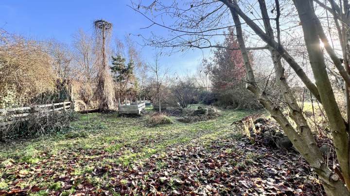 Außergewöhnliches Gartengrundstück mit parkähnlichem Charakter