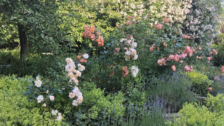 Außergewöhnliches Gartengrundstück mit parkähnlichem Charakter