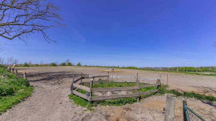 Kleiner Reiterhof mit 5 Ferienwohnungen auf Rügen