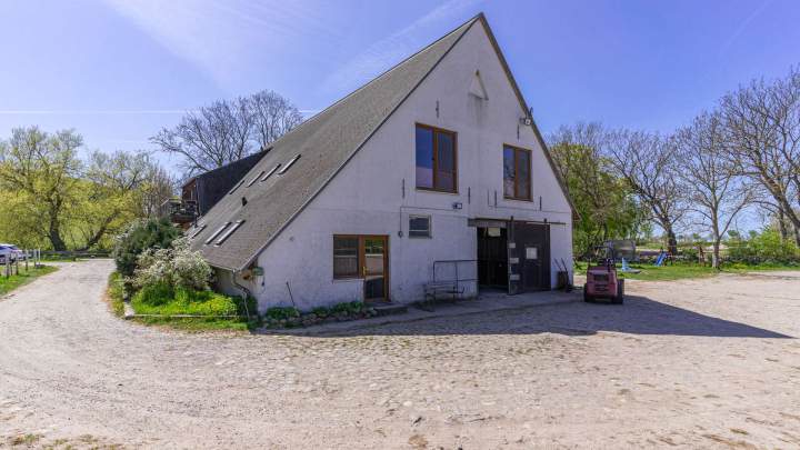 Kleiner Reiterhof mit 5 Ferienwohnungen auf Rügen