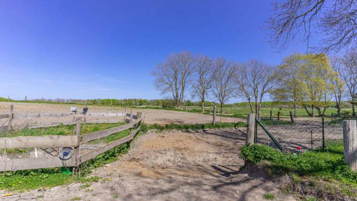 Kleiner Reiterhof mit 5 Ferienwohnungen auf Rügen