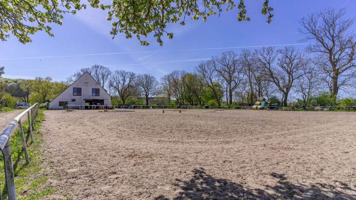 Kleiner Reiterhof mit 5 Ferienwohnungen auf Rügen