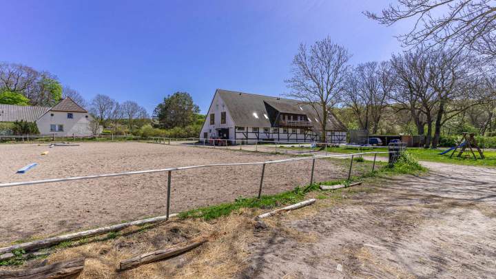 Kleiner Reiterhof mit 5 Ferienwohnungen auf Rügen