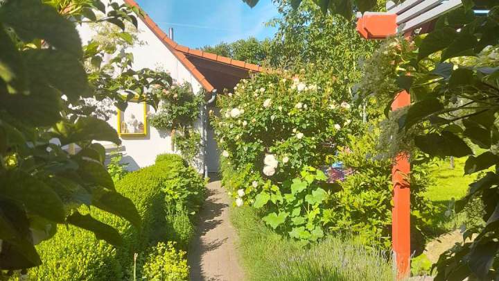 Zweifamilienhaus mit Ferienhaus und grünem Garten in Garz
