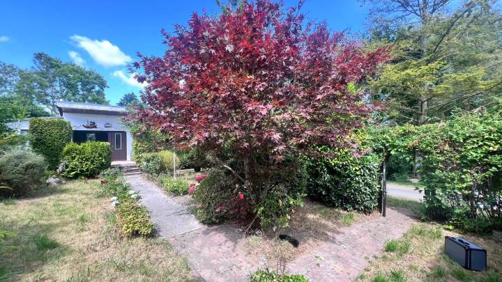 Entkernter Ferienbungalow auf Rügen