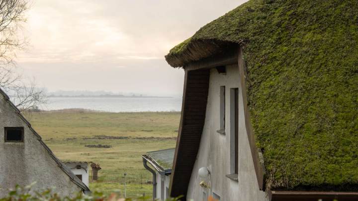 Fischerhaus mit Geschichte auf Hiddensee - Großes Grundstück