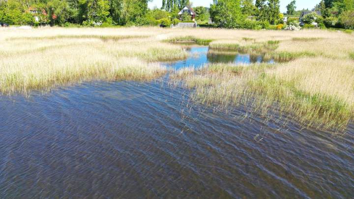 Ihr Rückzugsort am Wasser – Idyllisches Ferienhaus mit Blick auf den Großen Jasmunder Bodden