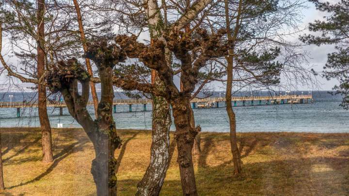 Hinreißendes Meerblickappartement am Binzer Fischerstrand