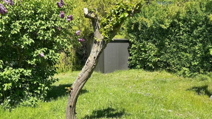 Charmantes Ferienhäuschen in traumhafter Lage von Lohme – nur 100 Meter zur Steilküste