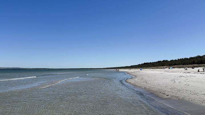 Eigenutzung oder Ferienvermietung - 2 Schwedenhäuser + Saunahaus zwischen Ostsee und Breeger Bodden
