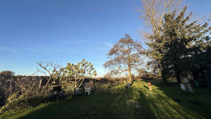 Charmantes Wohnhaus in Alleinlage – sanierungsbedürftig mit großem Grundstück