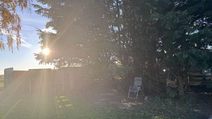 Charmantes Wohnhaus in Alleinlage – sanierungsbedürftig mit großem Grundstück