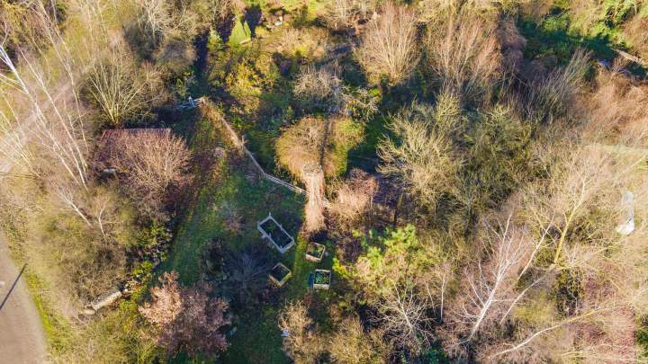 Außergewöhnliches Gartengrundstück mit parkähnlichem Charakter