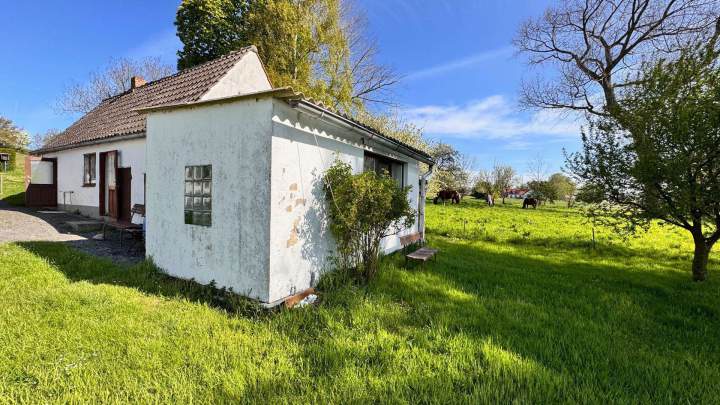 Fischerhaus mit Geschichte auf Hiddensee - Großes Grundstück